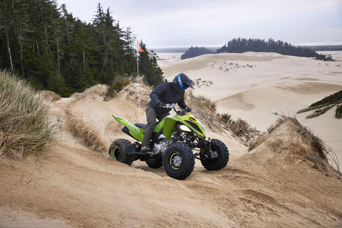 2026 Yamaha Raptor 700R SE ATV