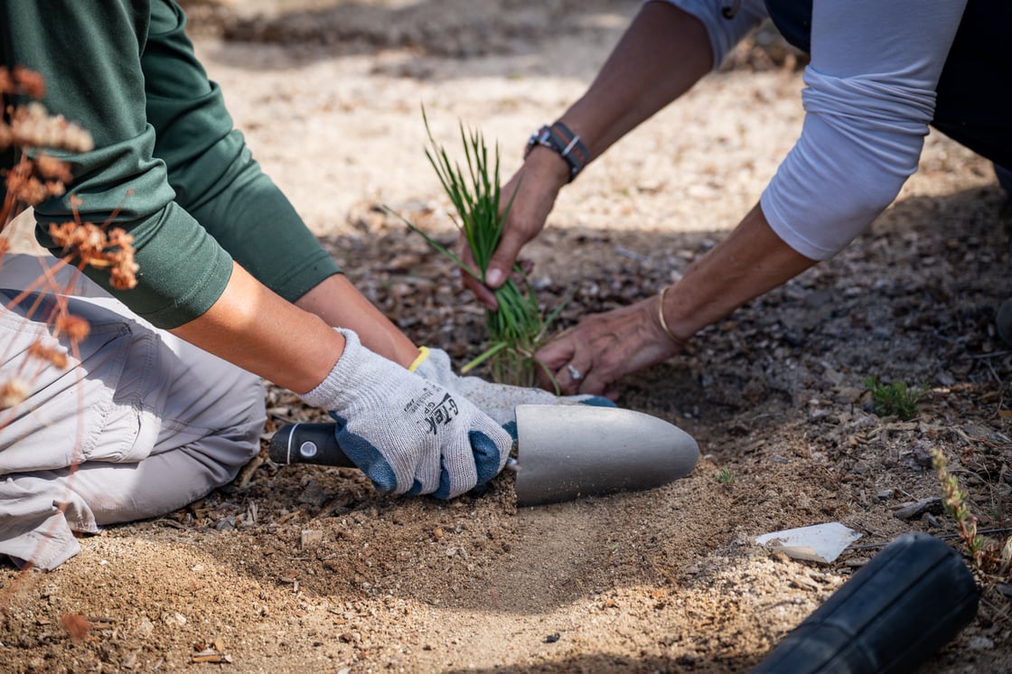 Yamaha OAI Volunteer Event Tree Planting